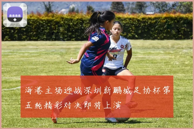 海港主场迎战深圳新鹏城足协杯第五轮精彩对决即将上演