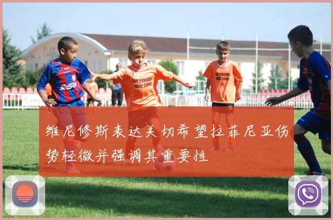 维尼修斯表达关切希望拉菲尼亚伤势轻微并强调其重要性